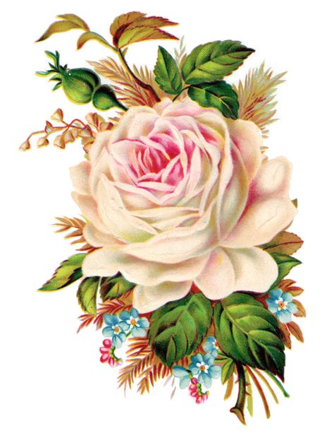 vintage clip art royalty free.